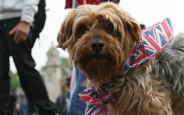 Can Having A Dog In London Really Work?