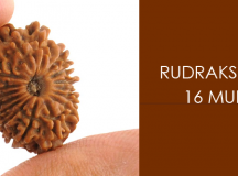 Rudraksha: Panacea For Every Type Of Evil That Exists