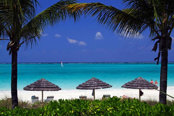 Turks and Caicos: Top 5 Things To See and Do