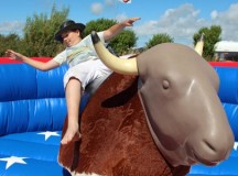 Rodeo Bull Hire For Your Western Themed Party