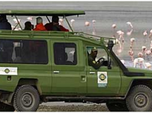 Fancy Desires! Drive It Your Own Way To The Lake Manyara!