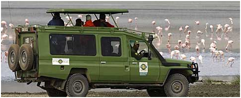 Fancy Desires! Drive It Your Own Way To The Lake Manyara!