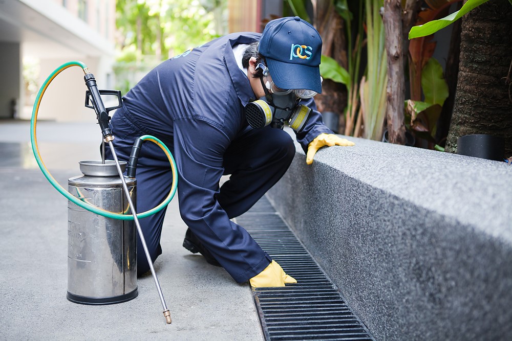 Reasons Behind Taking The Services Of Pest Controllers London