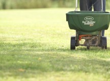 Things To Remember While Choosing Grass Seed For Your Lawn