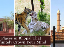 3 Places In Bhopal That Will Definitely Crown Your Mind