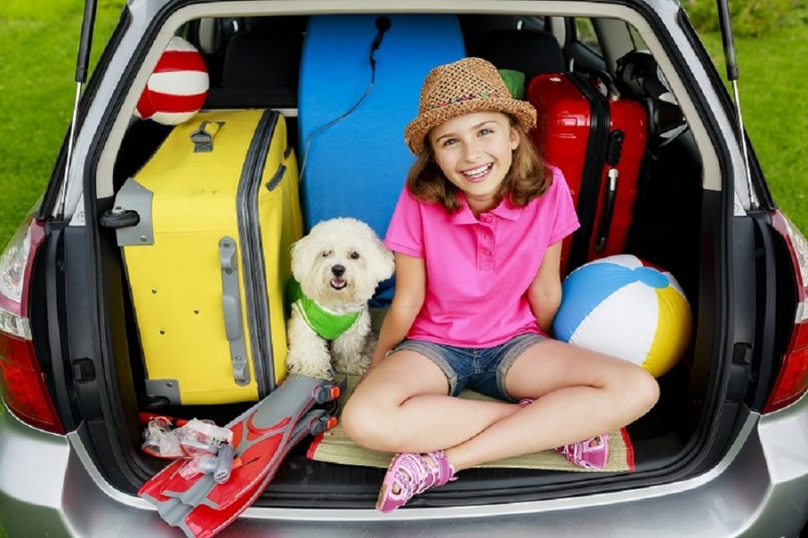 3 Of The Best Reasons Why It's More Fun To Travel With Your Pet (+ Useful Pet Travel Tips)