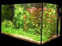 A Guide To Everything About Aquarium Heaters